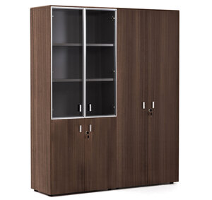 ENZO Шкаф комбинированный + д/бумаг