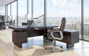 Кабинет руководителя Sydney видео.